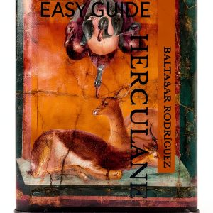 Rome Travel Guide Kindle Edition by TravelInsights 207‑Page eBook-0