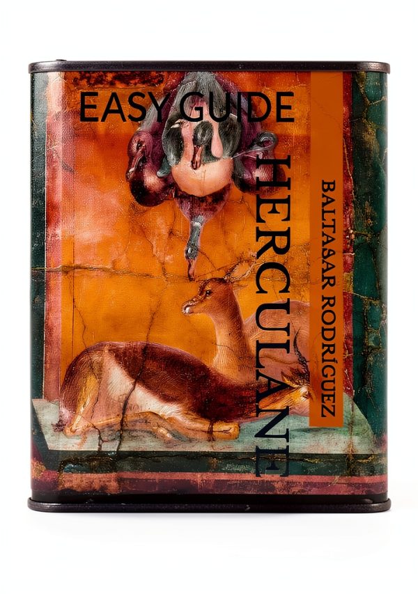 Rome Travel Guide Kindle Edition by TravelInsights 207‑Page eBook-0