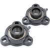Insert Bearing SA205-16 Cast Iron Housing TRD205 SATRD205-16 1in Size-0